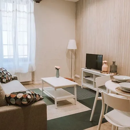 T2 Cosy In Albi Town Centre Apartment Albi