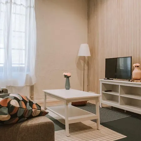 T2 Cosy In Albi Town Centre Apartment