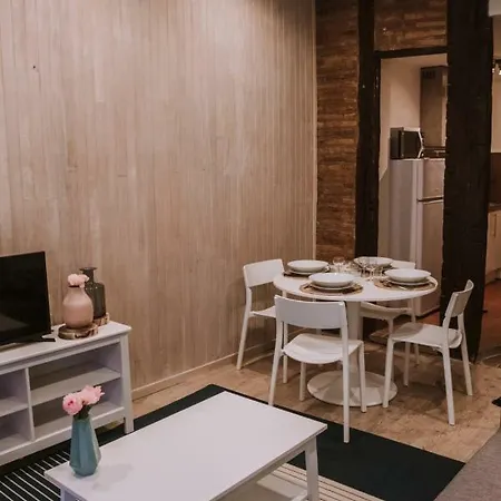 T2 Cosy In Albi Town Centre * Albi